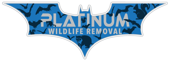 Vienna Wildlife Removal